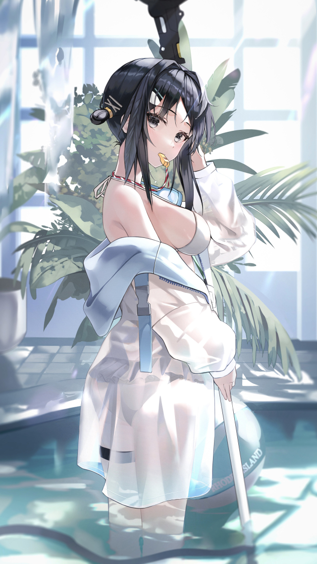 芙蓉