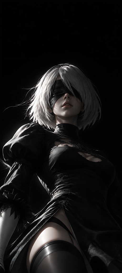 尼尔-2B