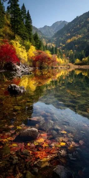 秋日湖畔，斑斓的自然画卷