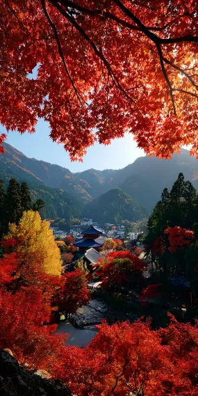 秋日禅境，枫叶映古寺