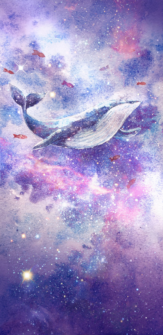 微信桌面壁紙星空下的小鯨魚