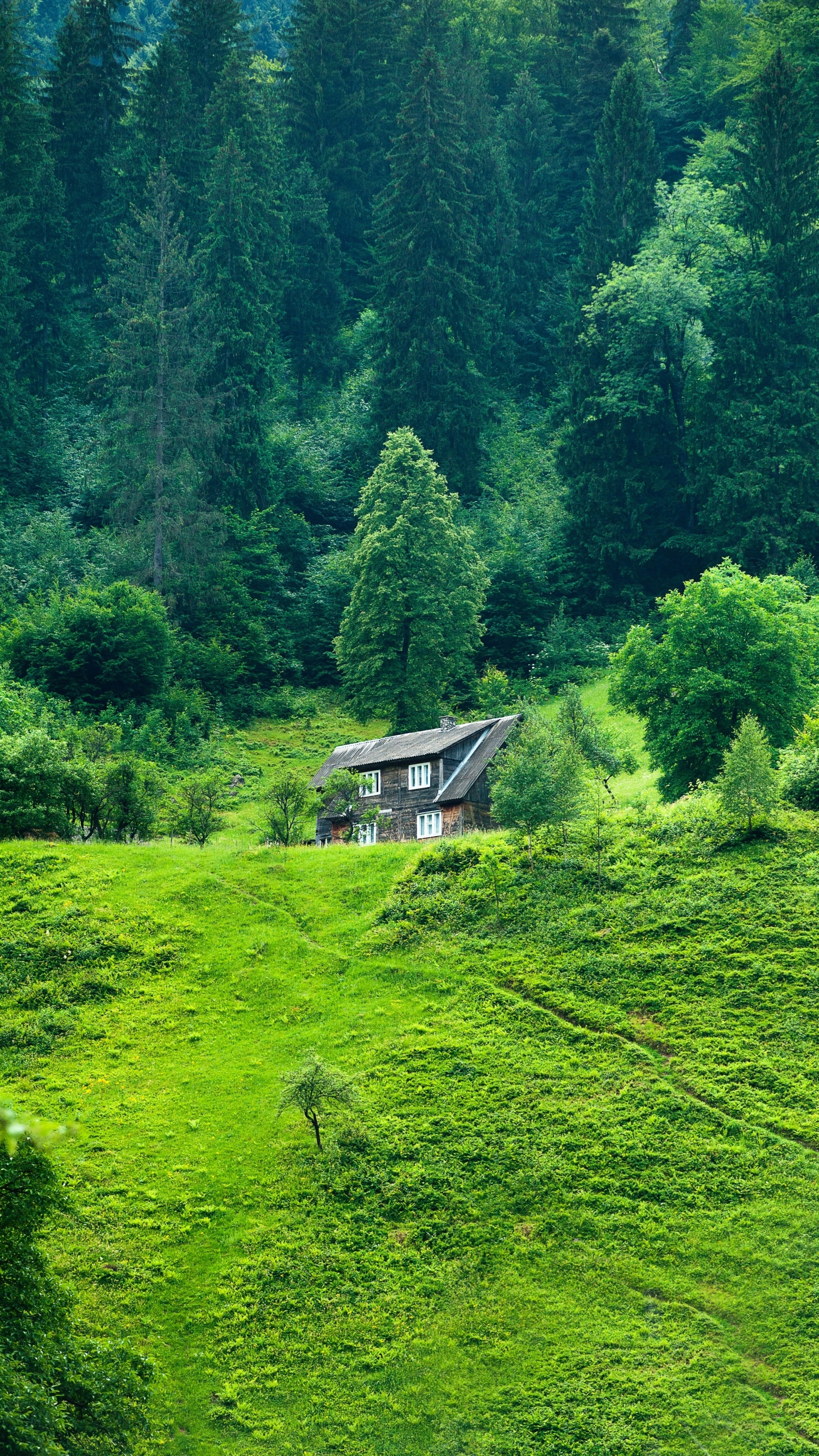 林中小屋