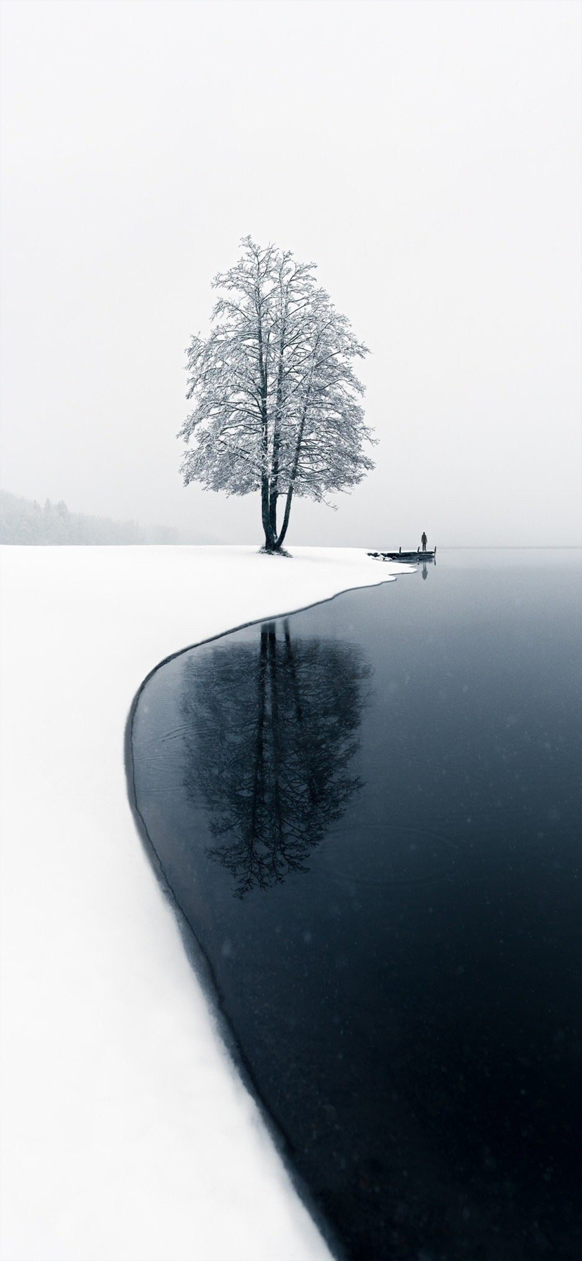 高清极简雪景壁纸