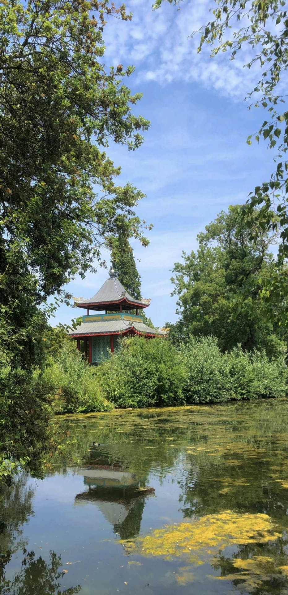 风景湖