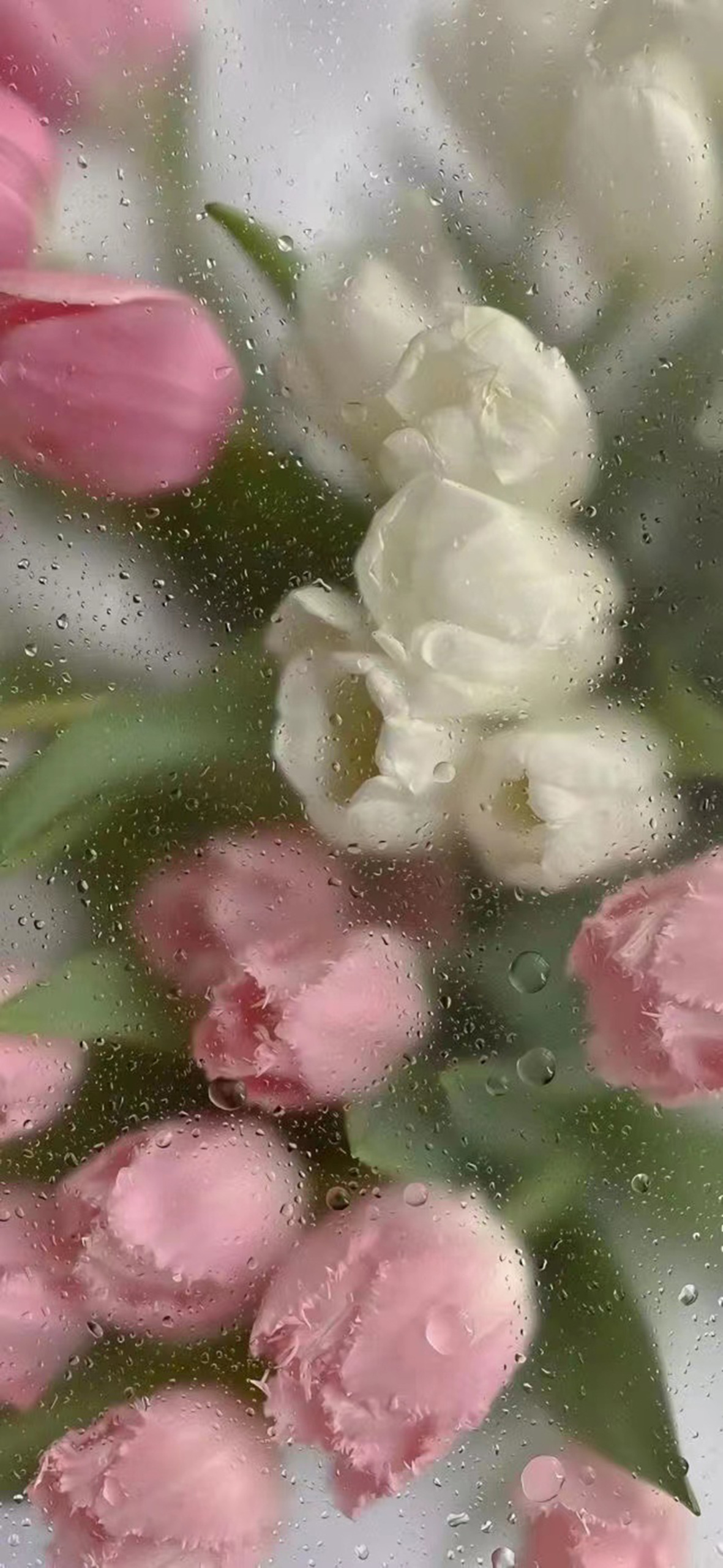 花束