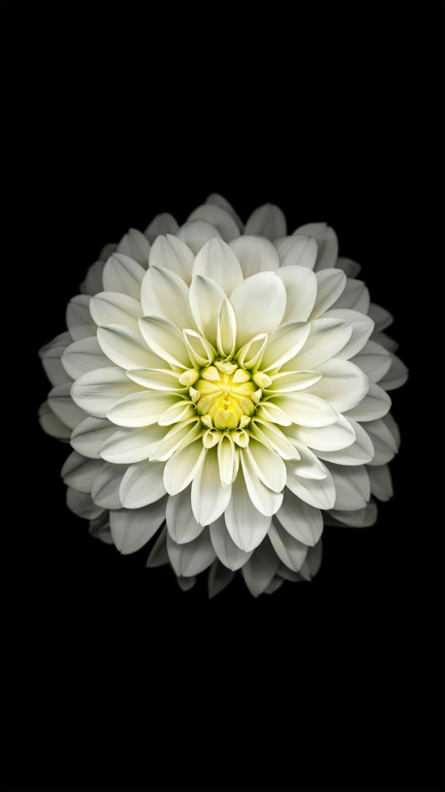 简约壁纸