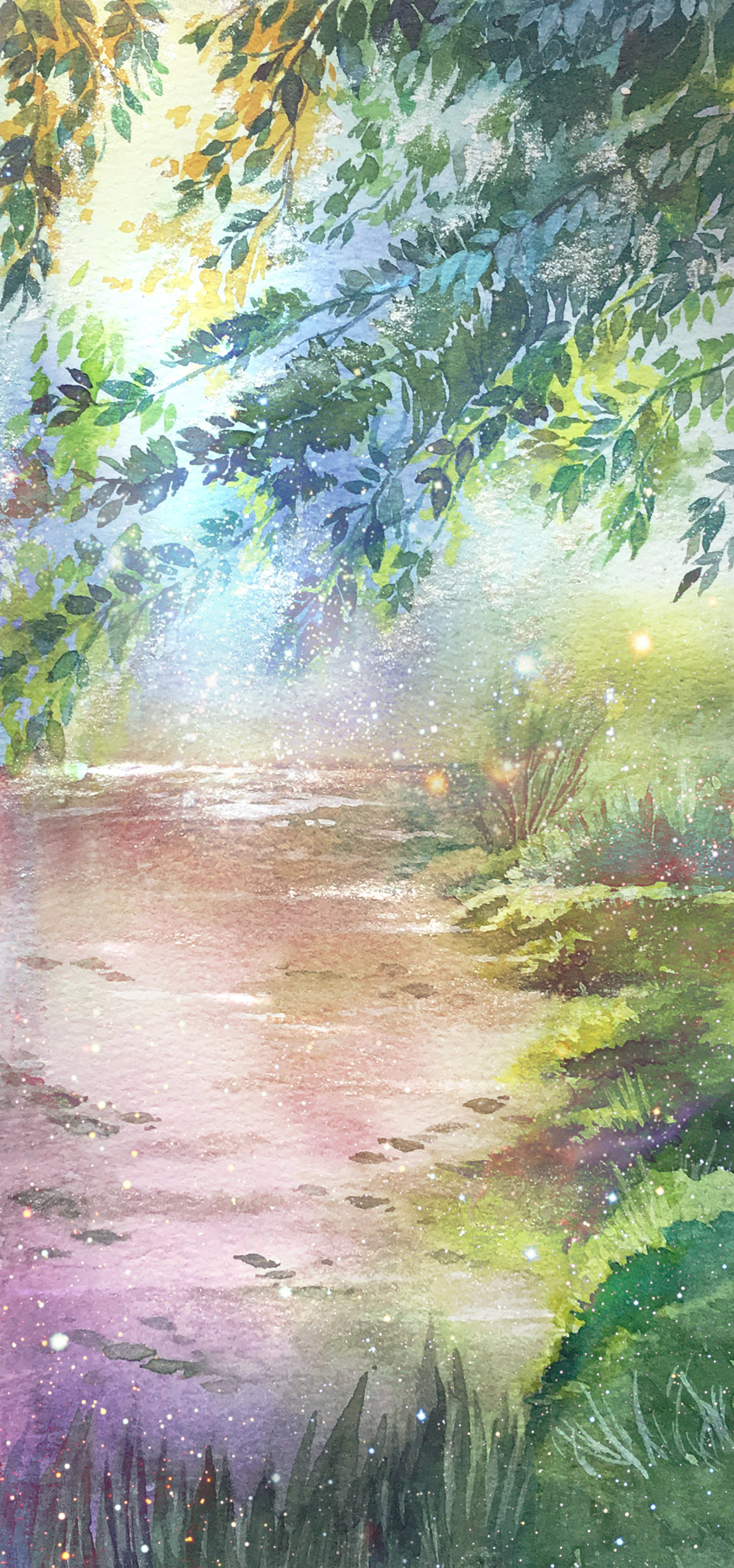 清晨的森林