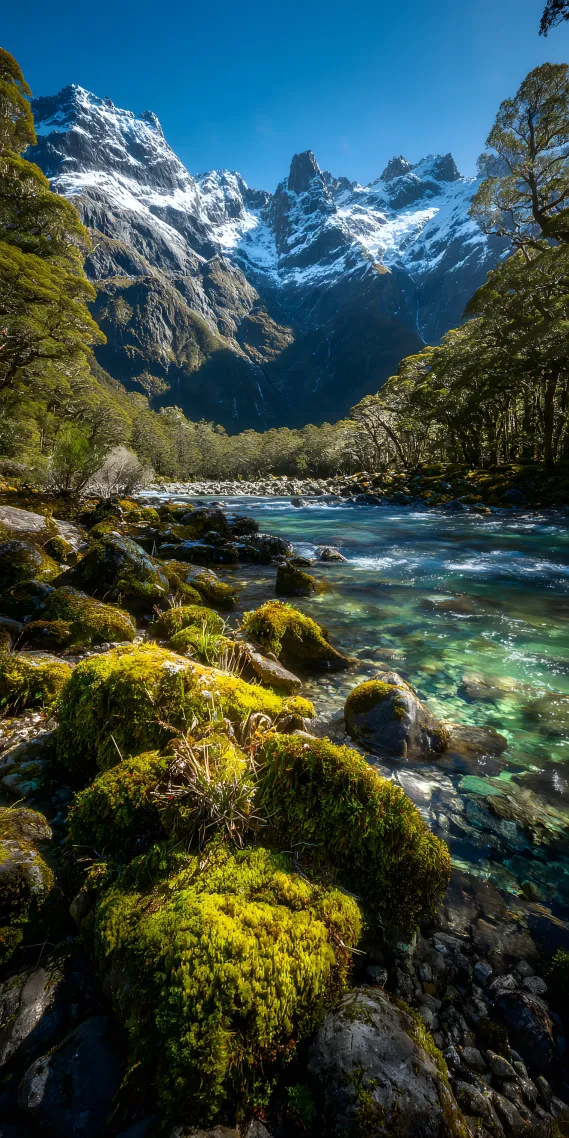 山间秘境，自然的纯净乐章