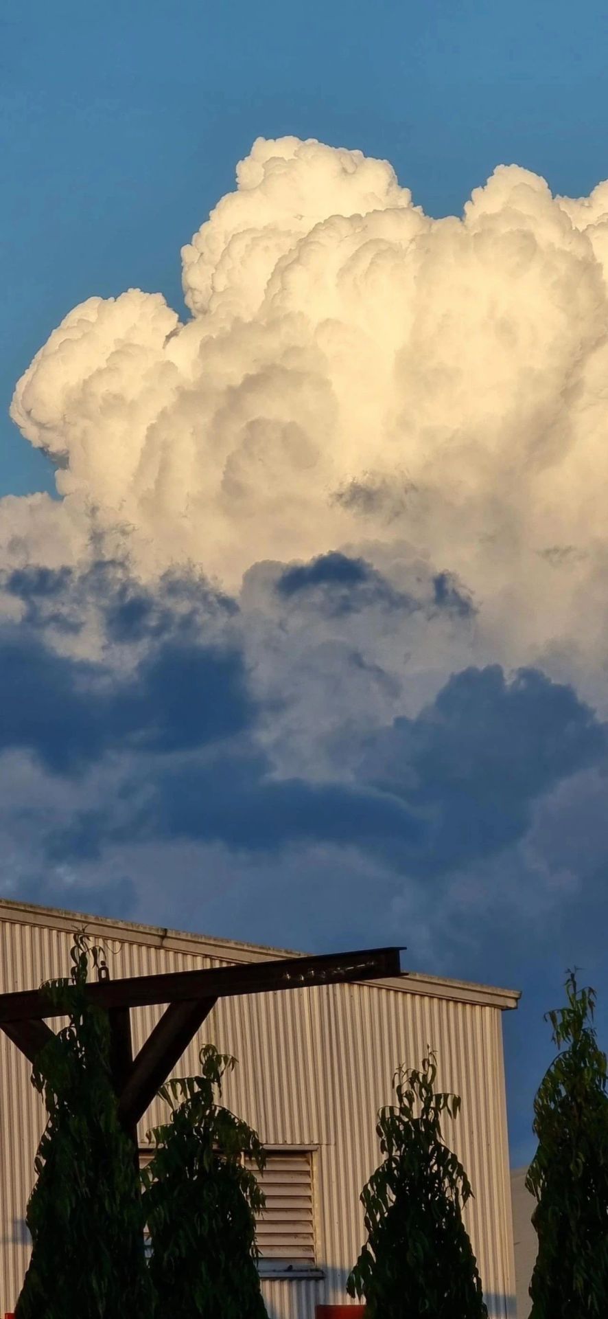 白雲