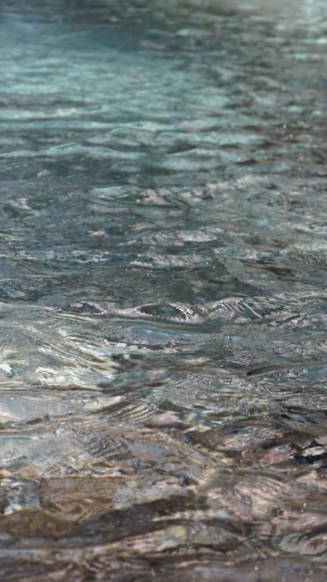 水波