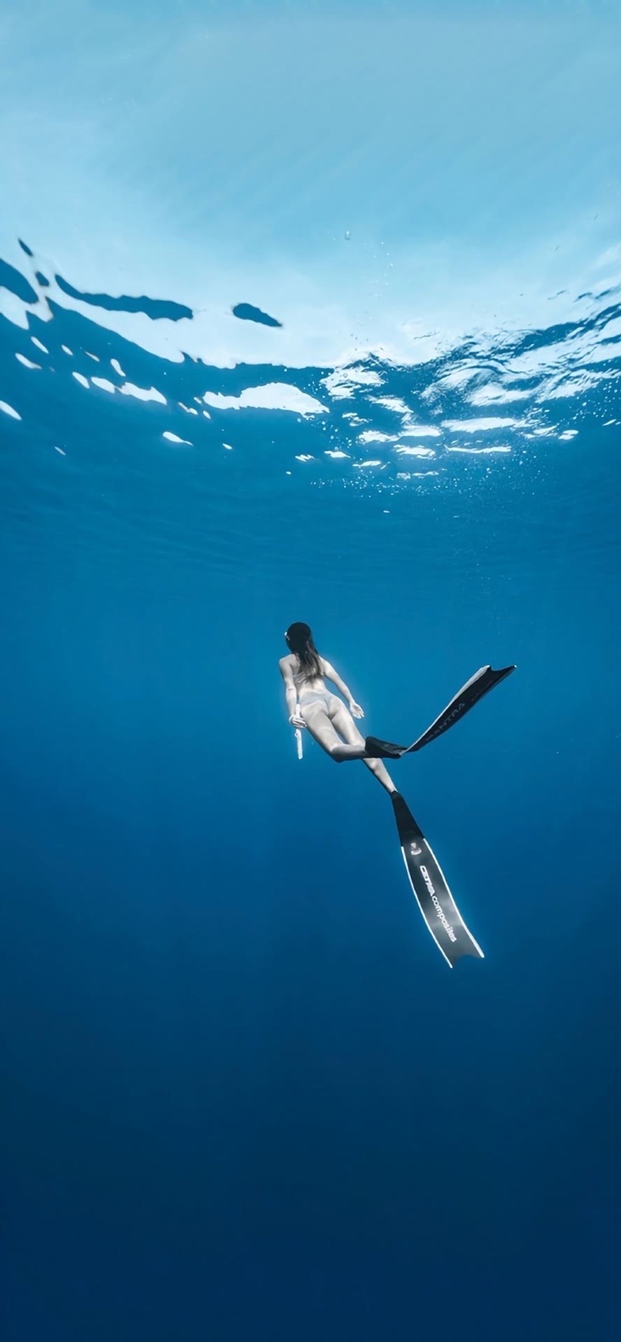 和美女一起潛水