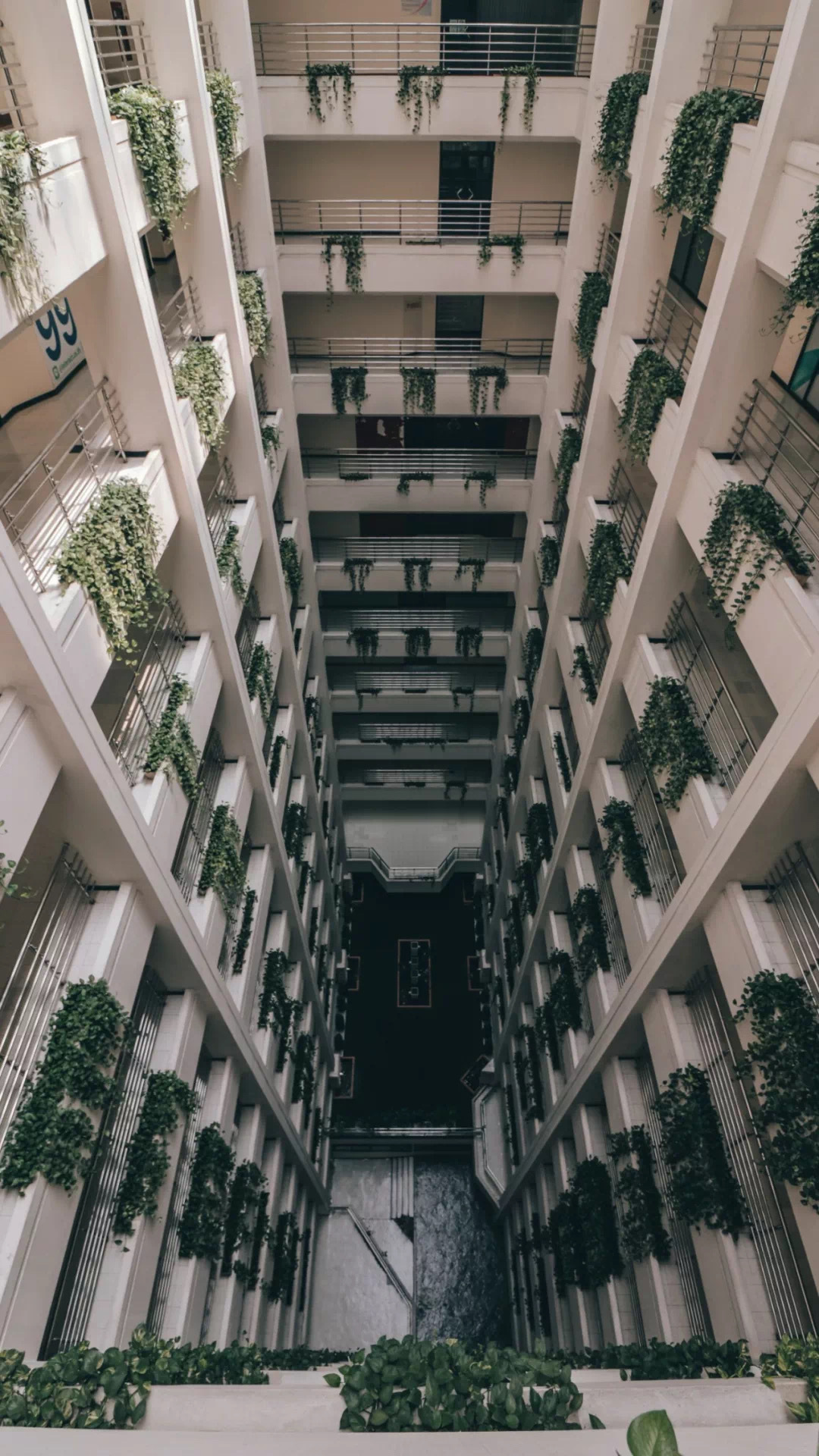 精品壁紙
