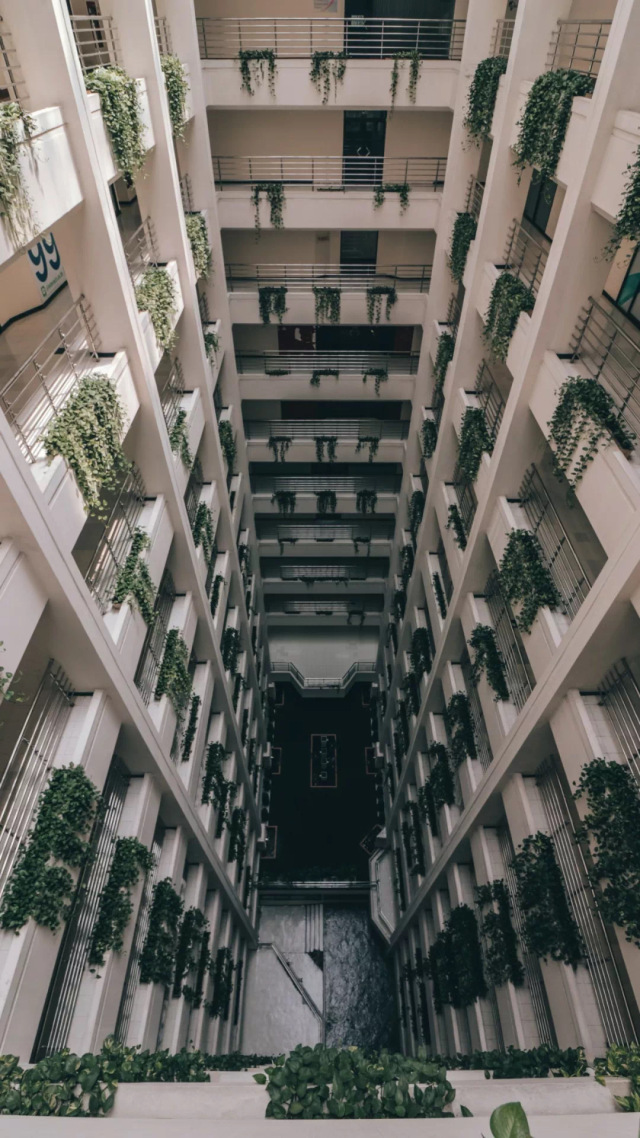 精品壁紙