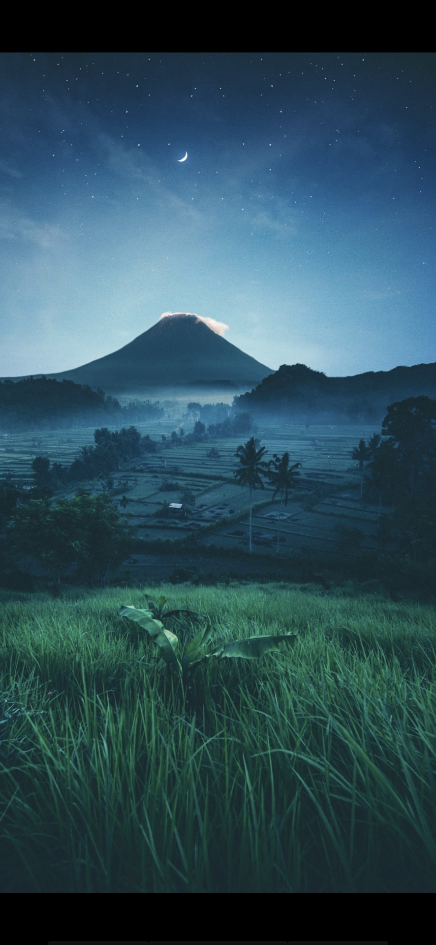 护眼风景