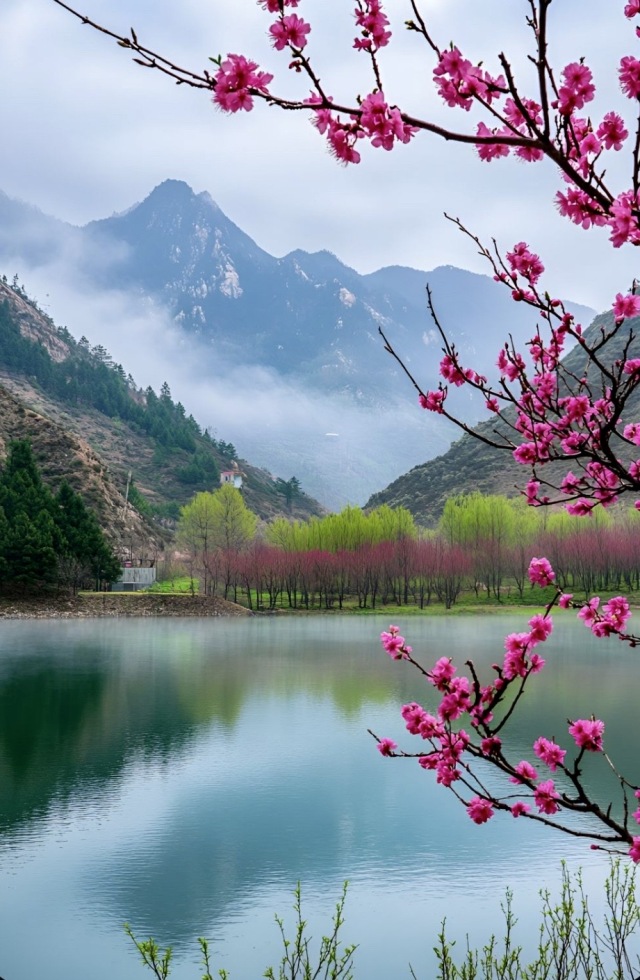 美景夏
