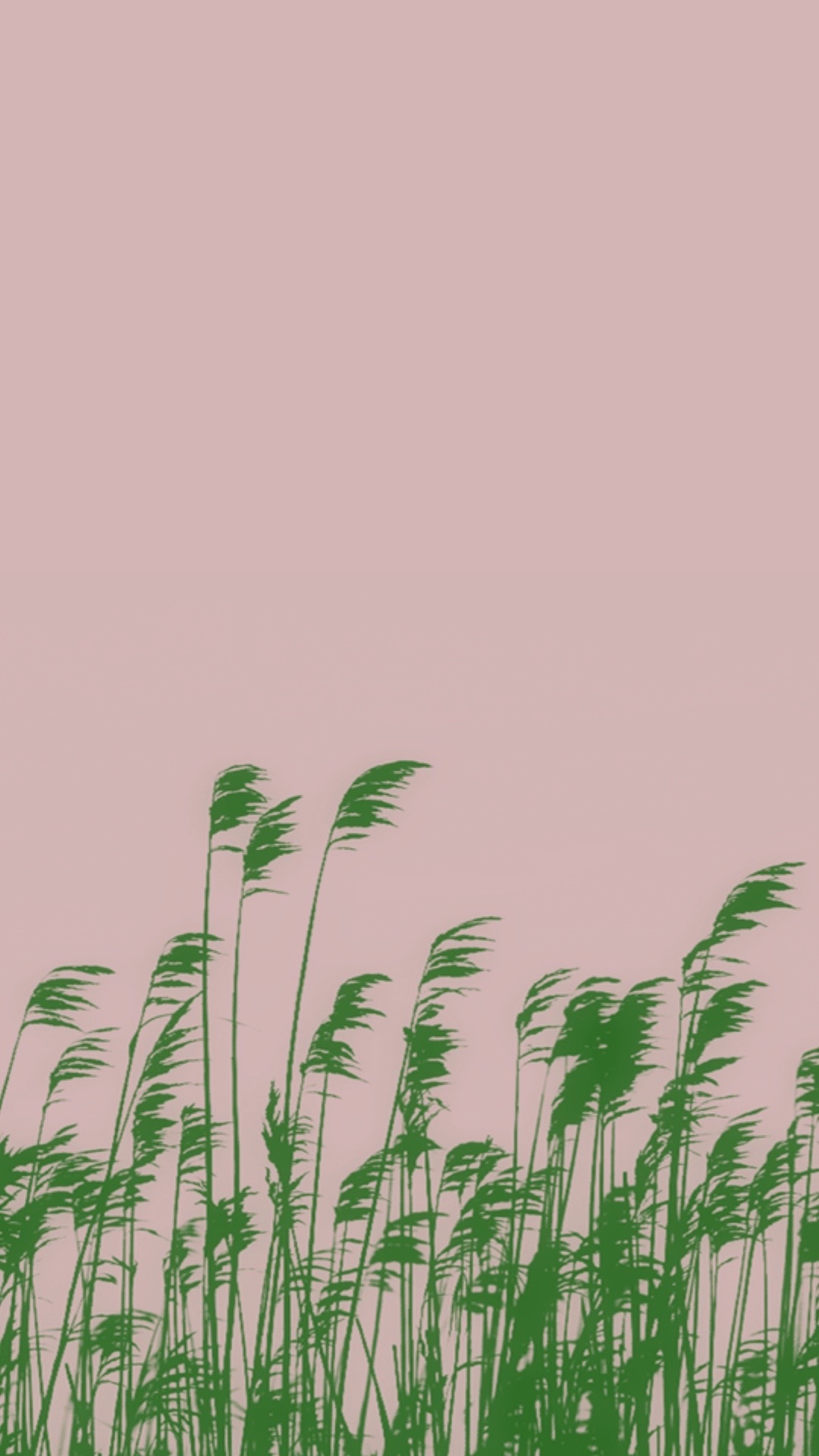 稻叶3