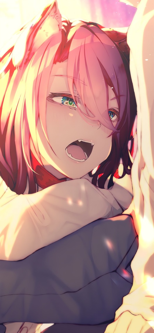 狐耳少年