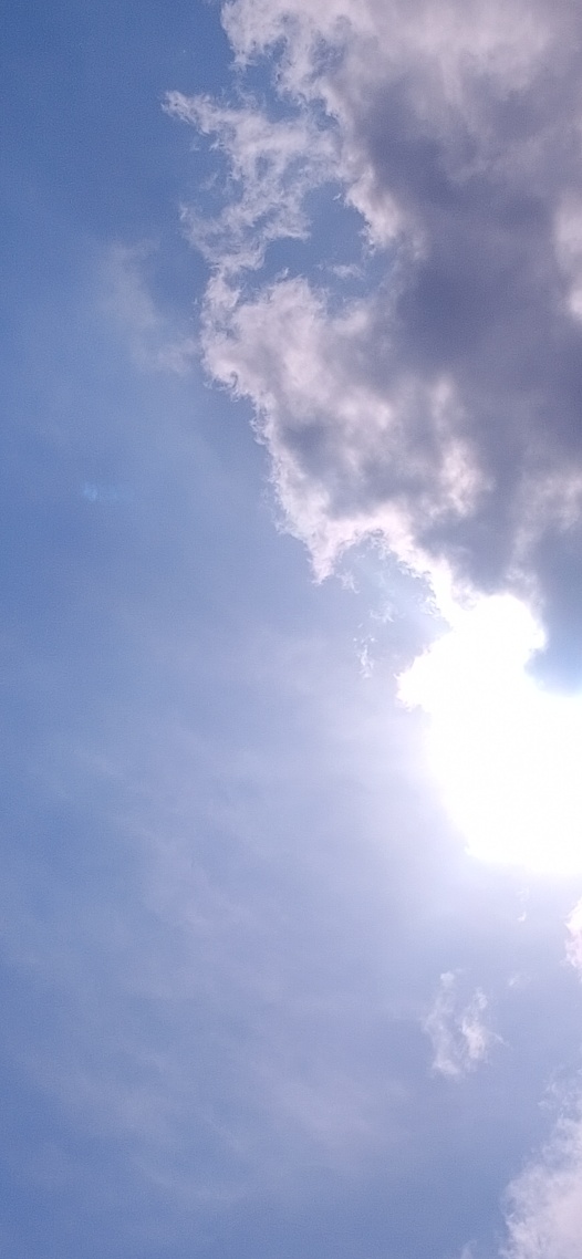 光感