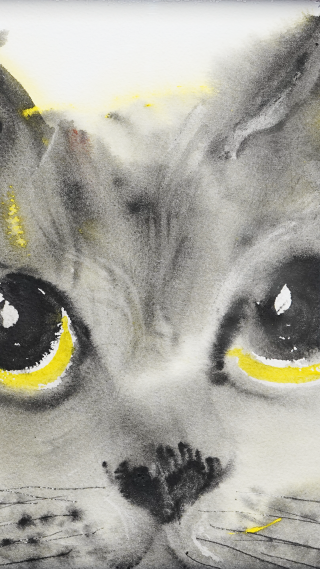 水彩画大花猫，林晨曦《猫先生》