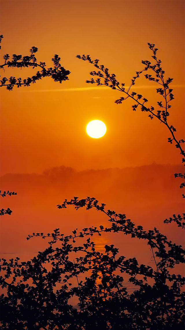 夕阳