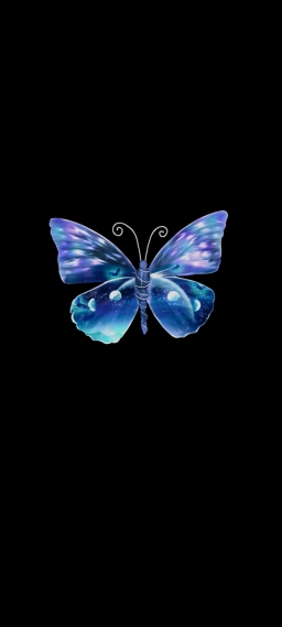 蝴蝶壁纸 - 蝴蝶手机壁纸 - 蝴蝶手机静态壁纸 - 元气壁纸