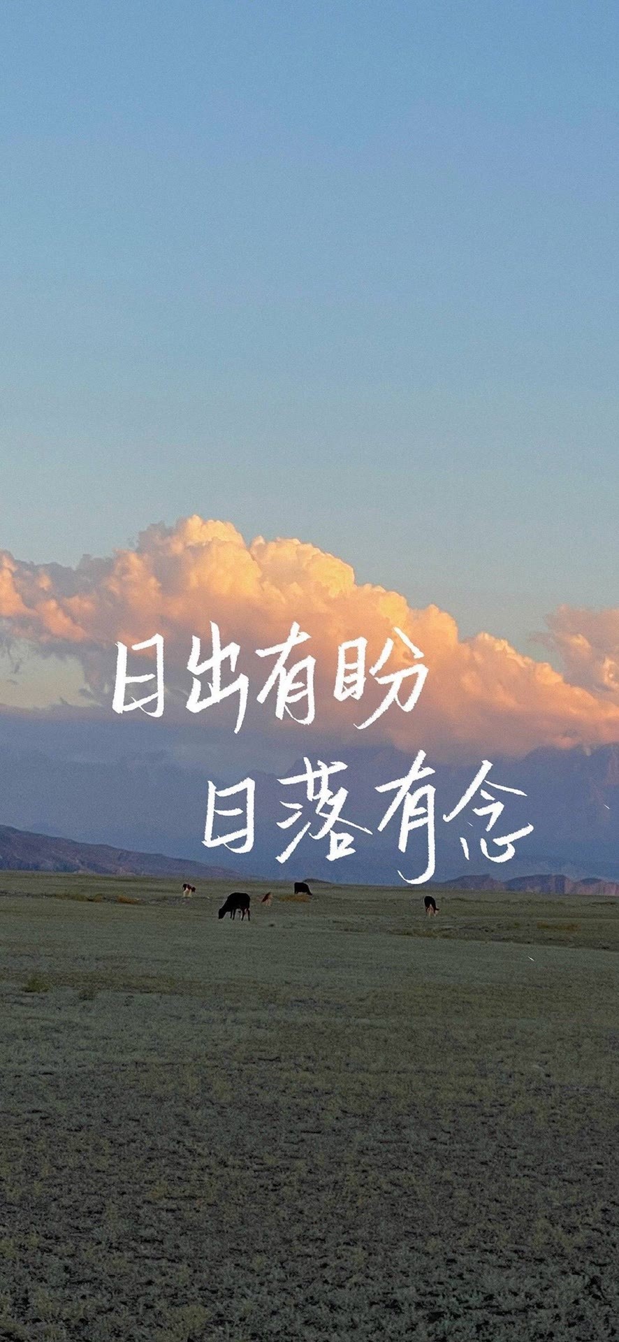 日出有盼 日落有念