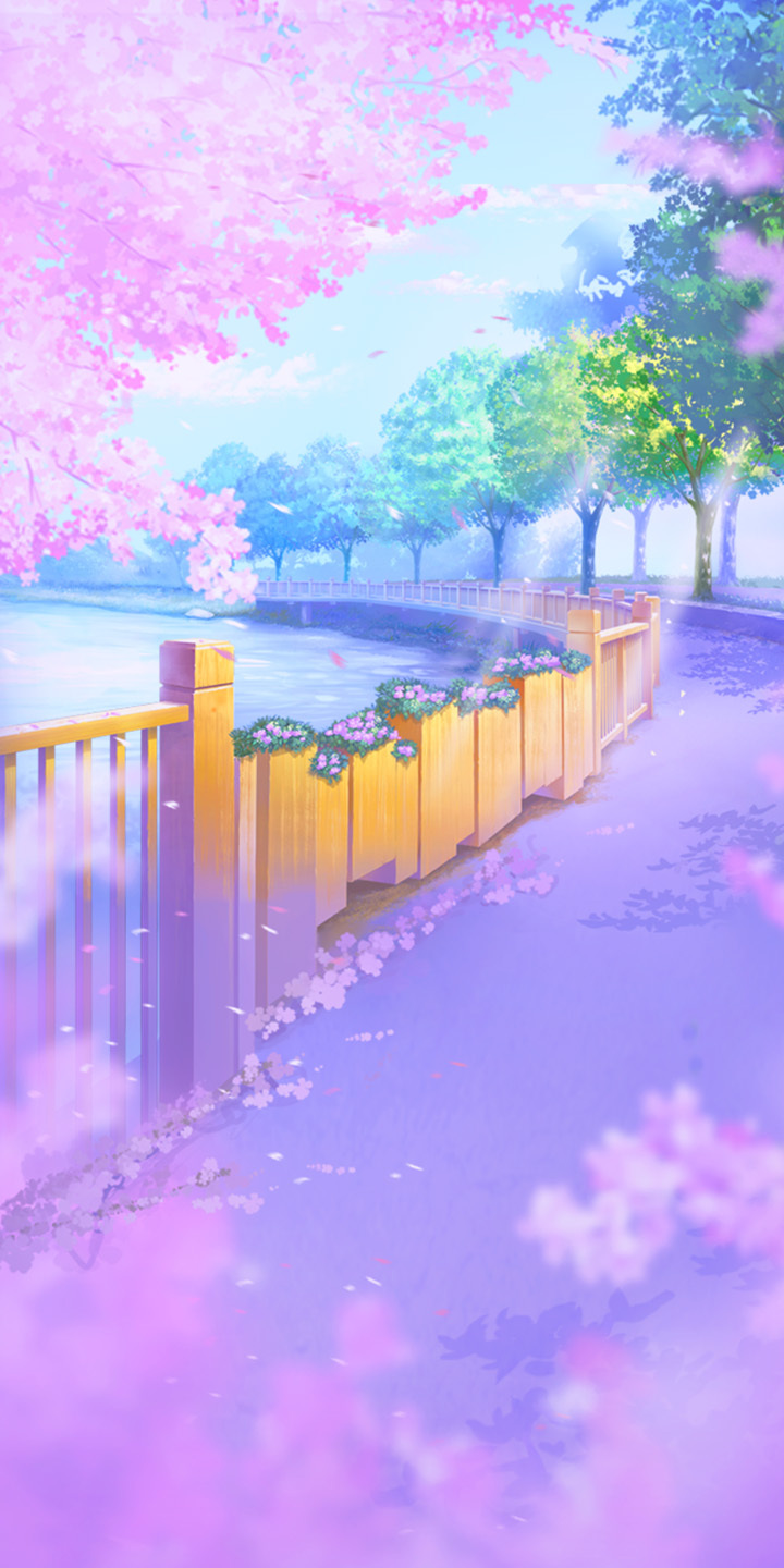 唯美櫻花