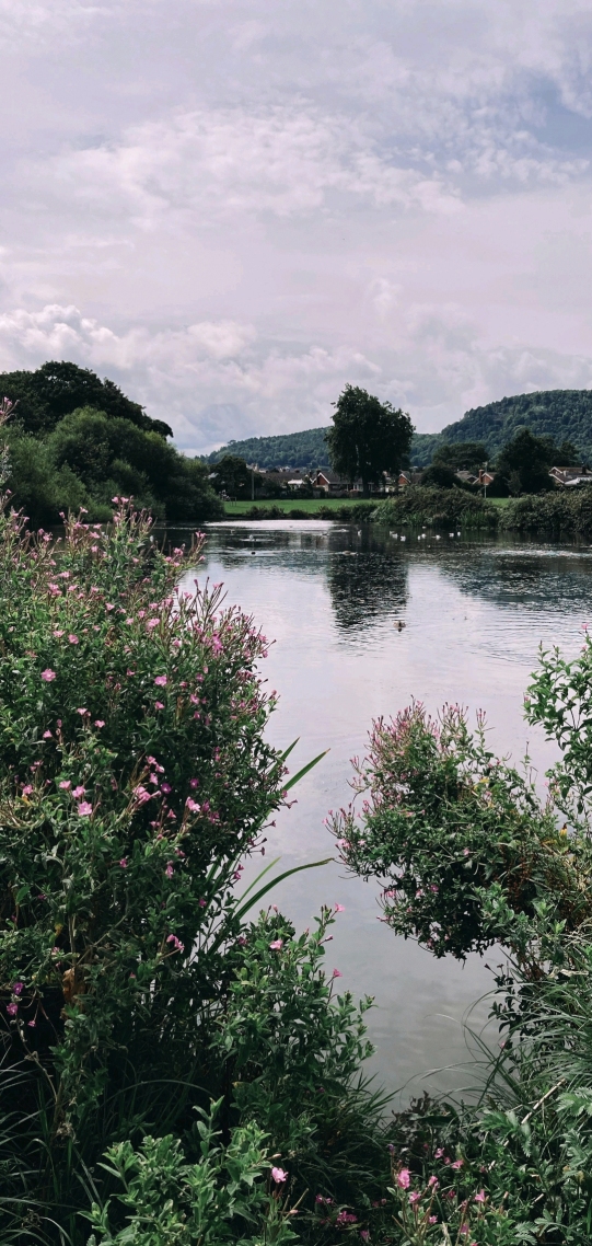 自然风景