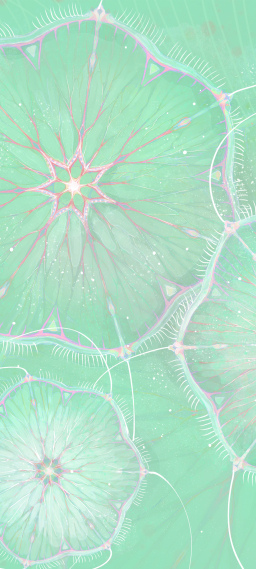 浮游生物