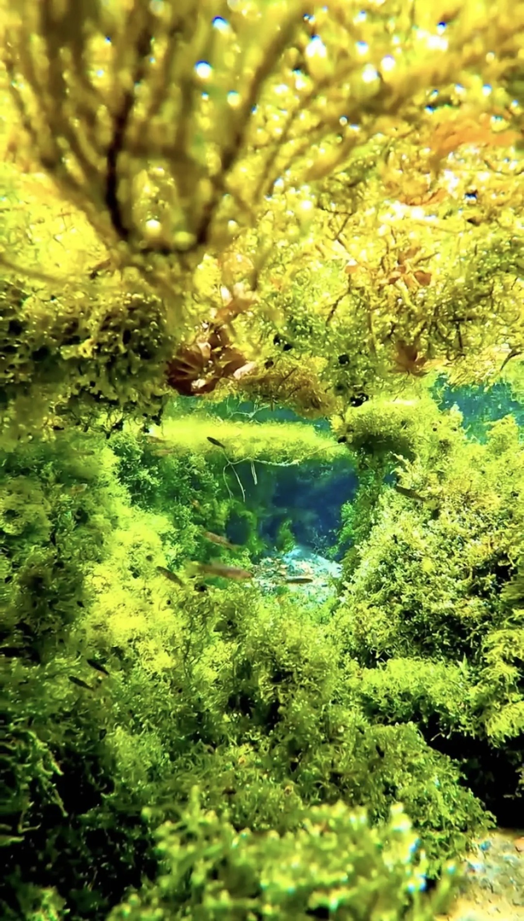 水下世界