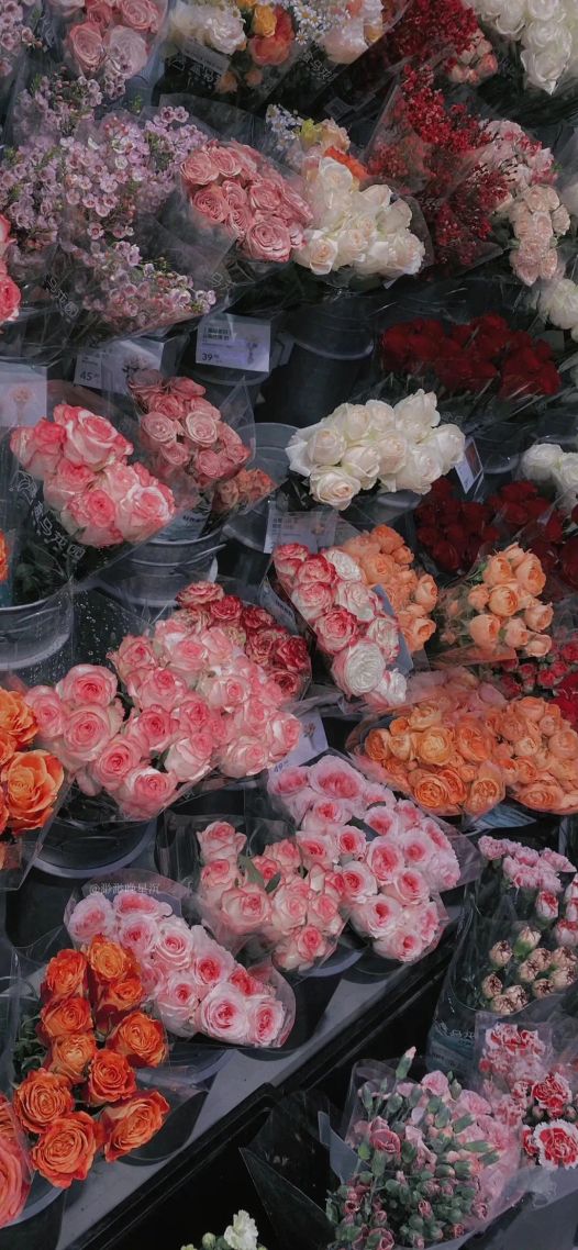 不同的花花