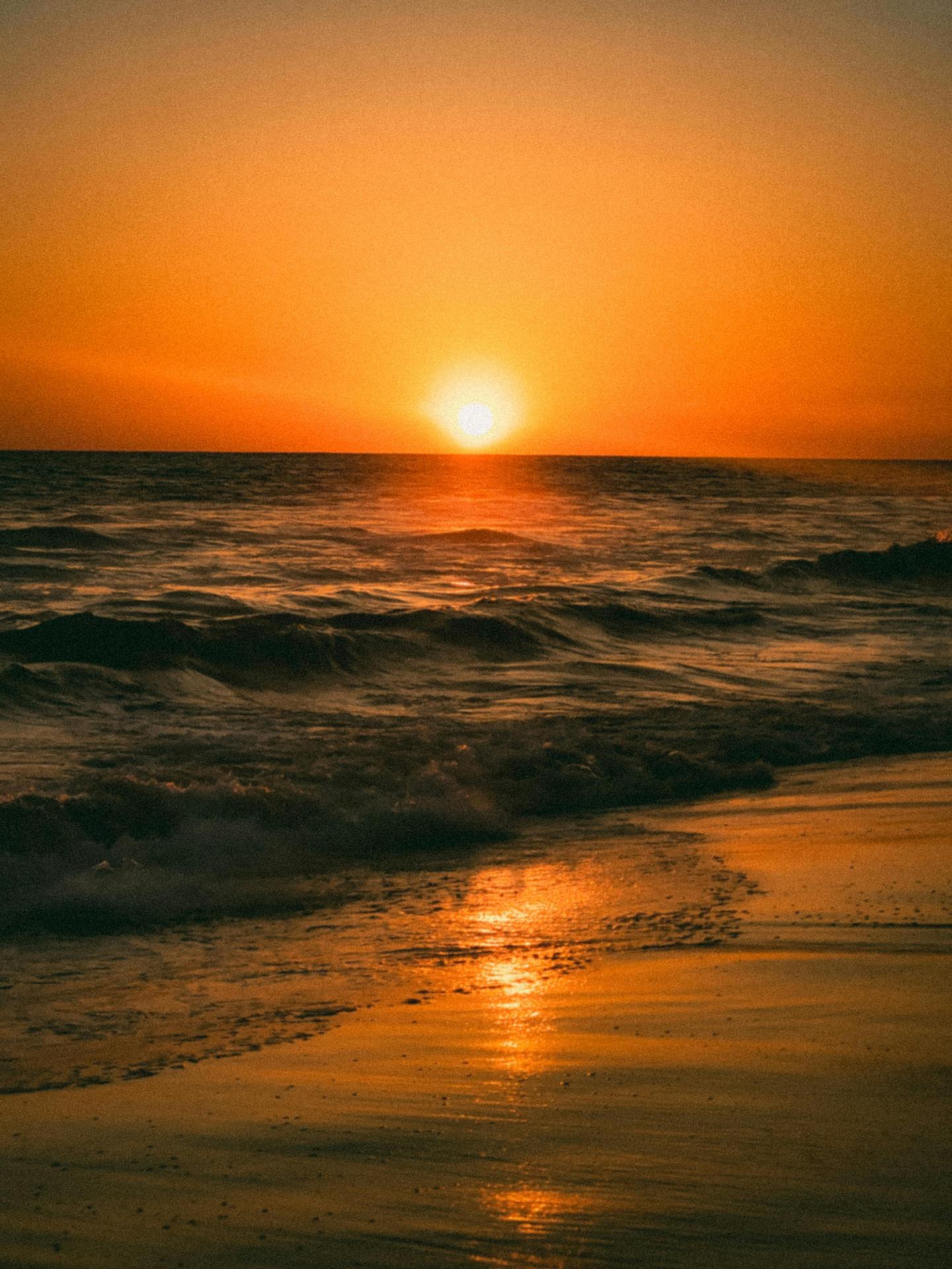 夕陽無限好，只是近黃昏