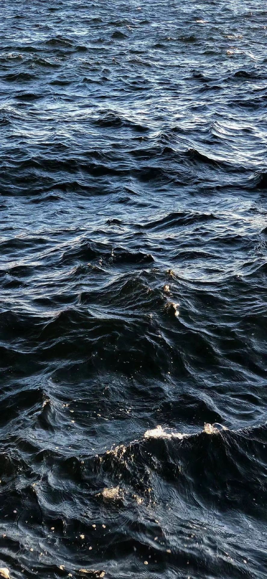 海面