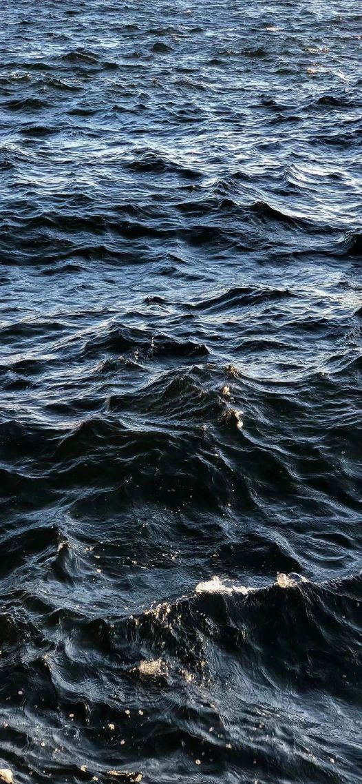 海面