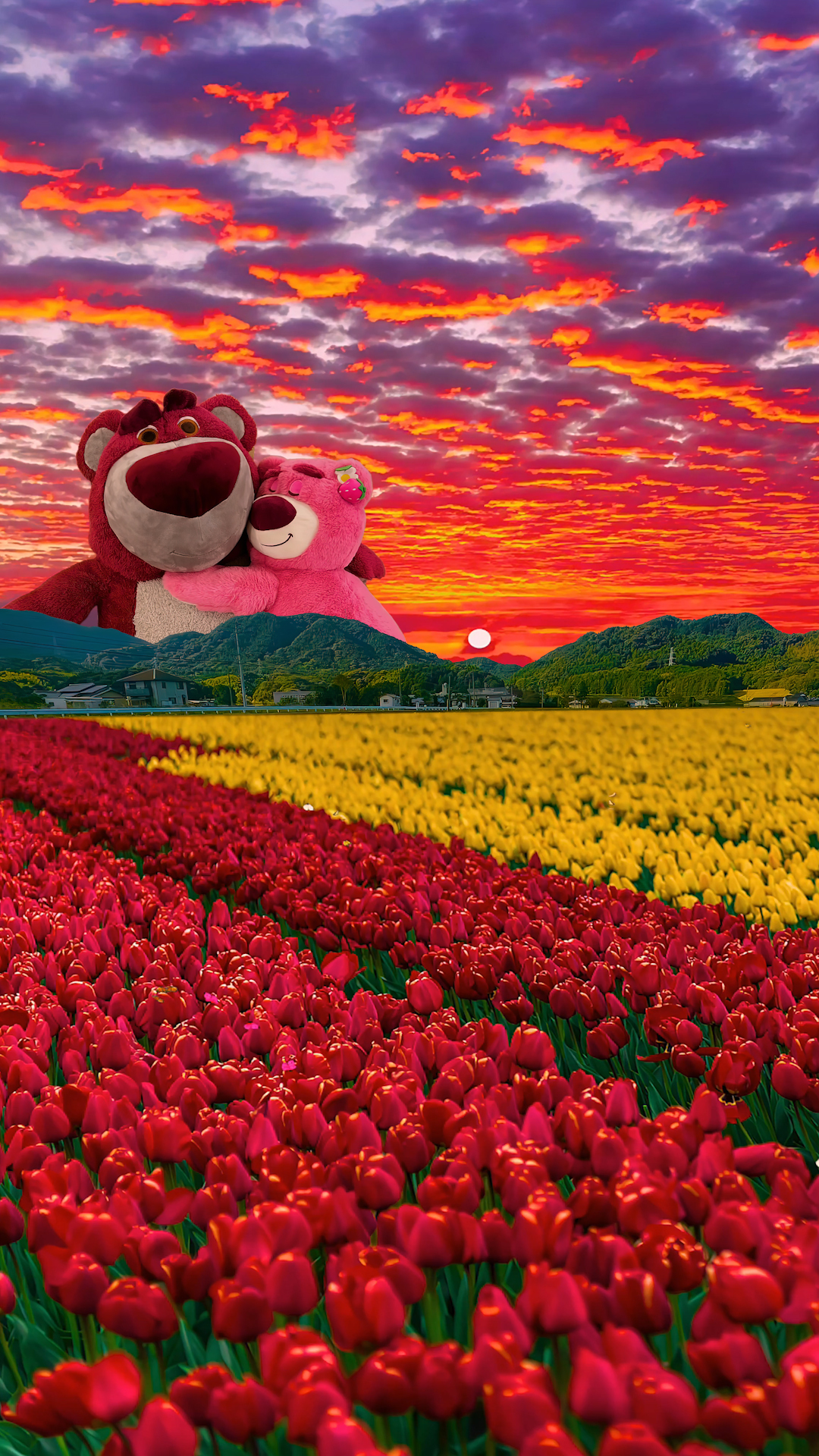 草莓熊夕陽鬱金香花海