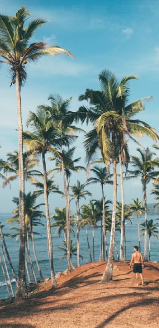 夏日海风