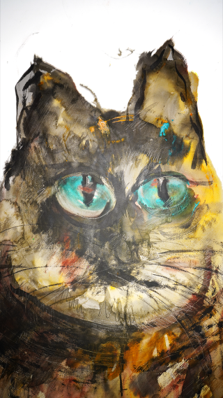 水彩画大花猫，林晨曦《猫先生》