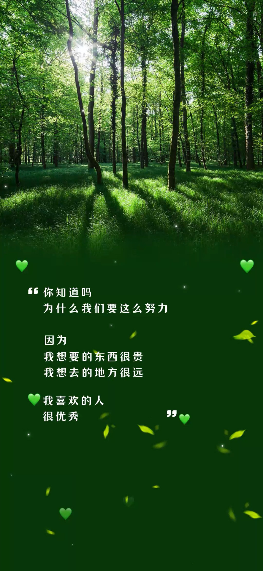 绿色护眼