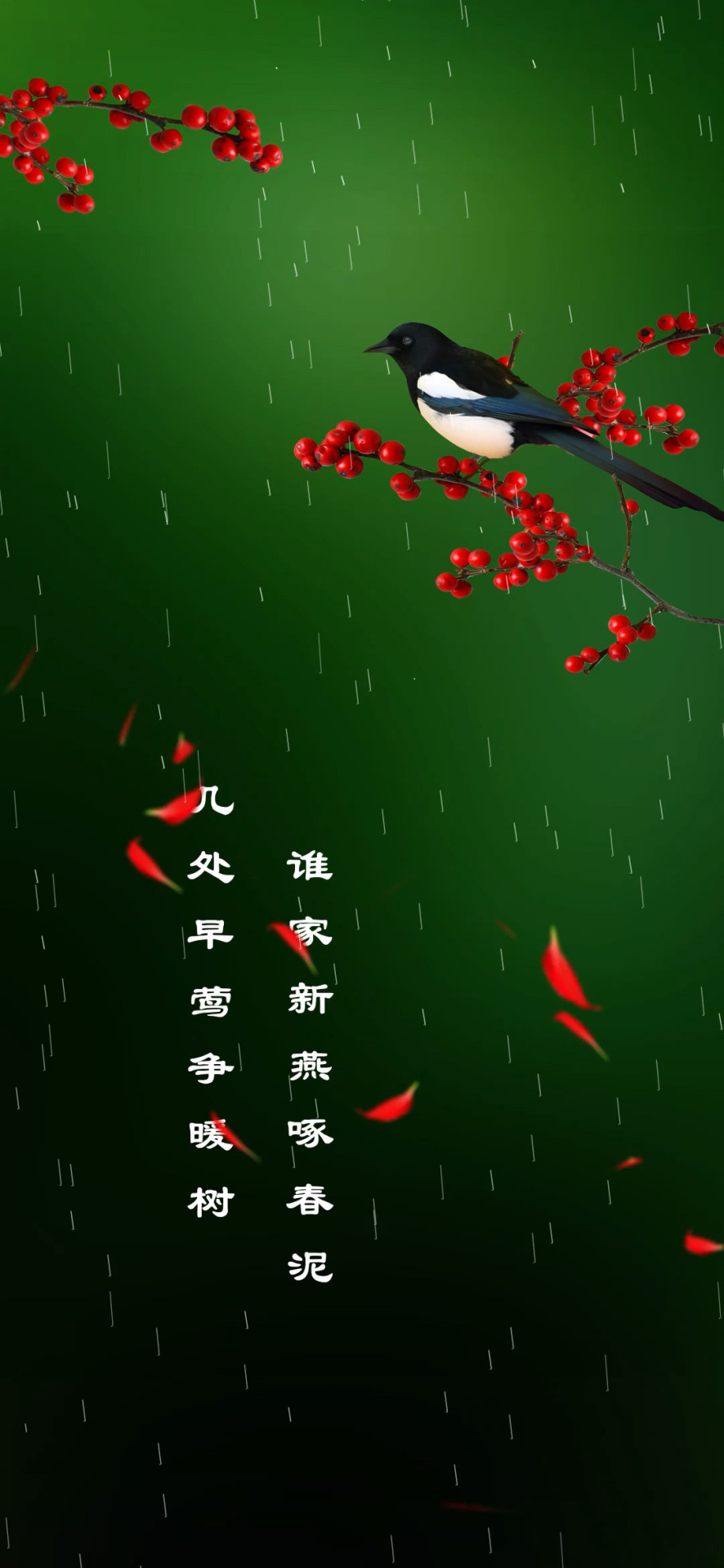 雀鸟