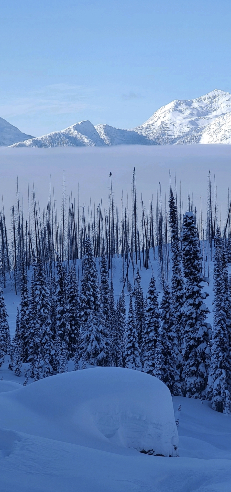 雪景