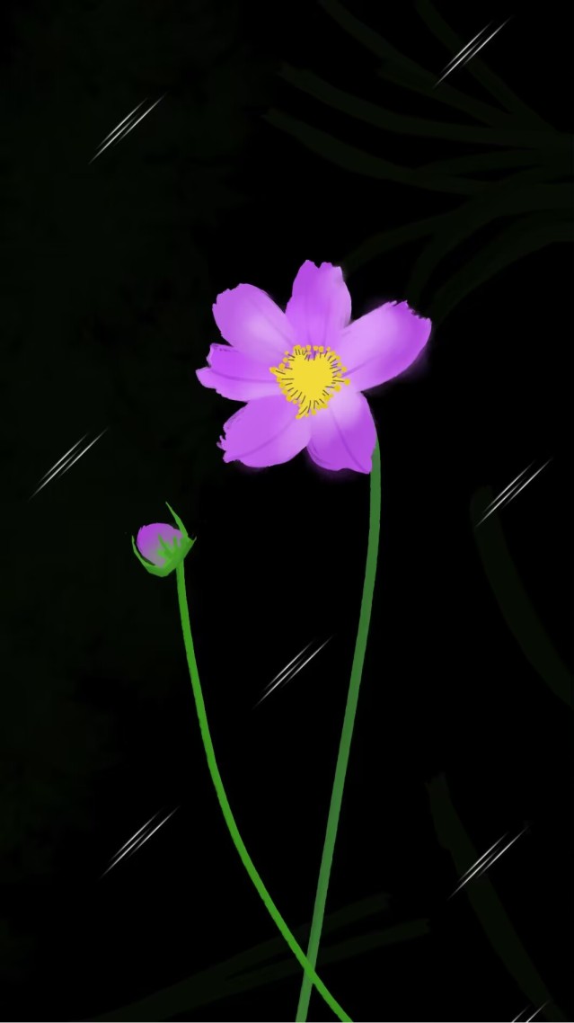 格桑花(小清新手机静态壁纸) - 小清新手机壁纸下载 - 元气壁纸