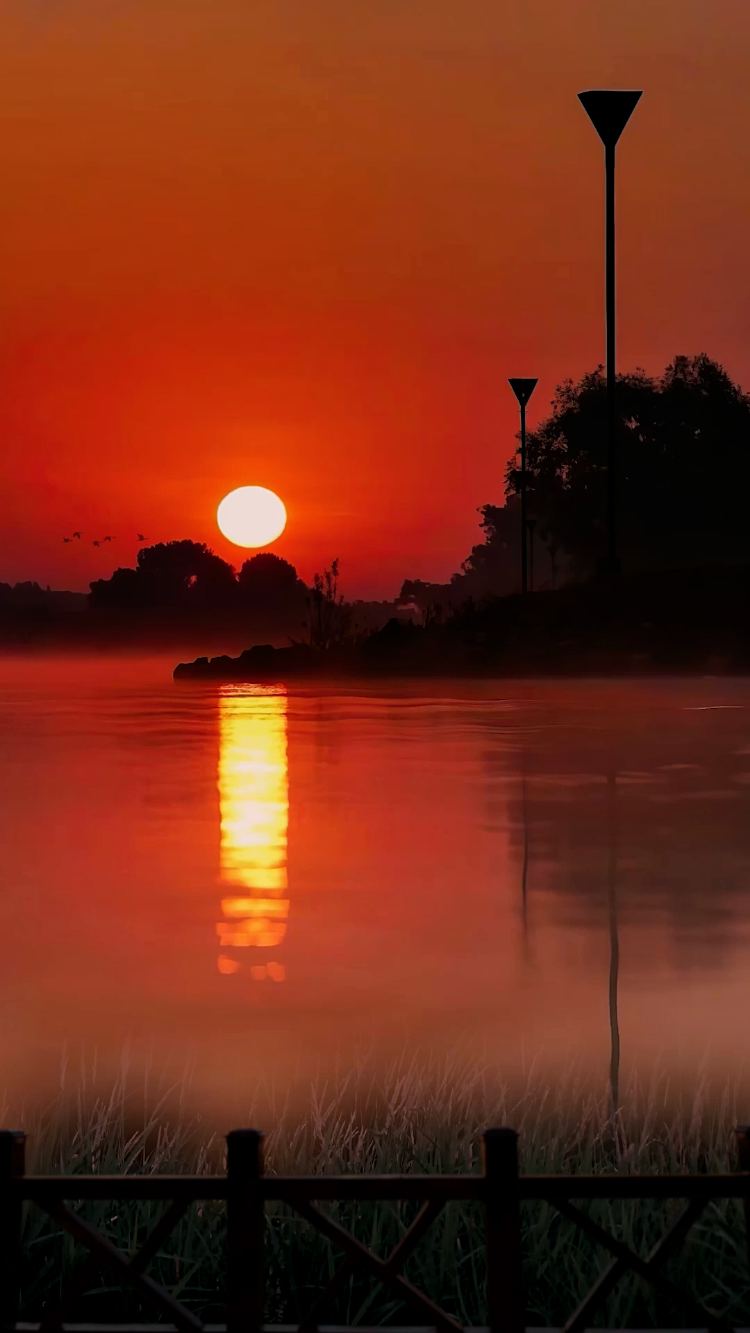 夕陽