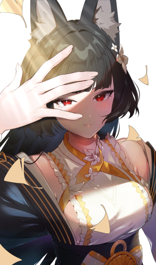 星见雅