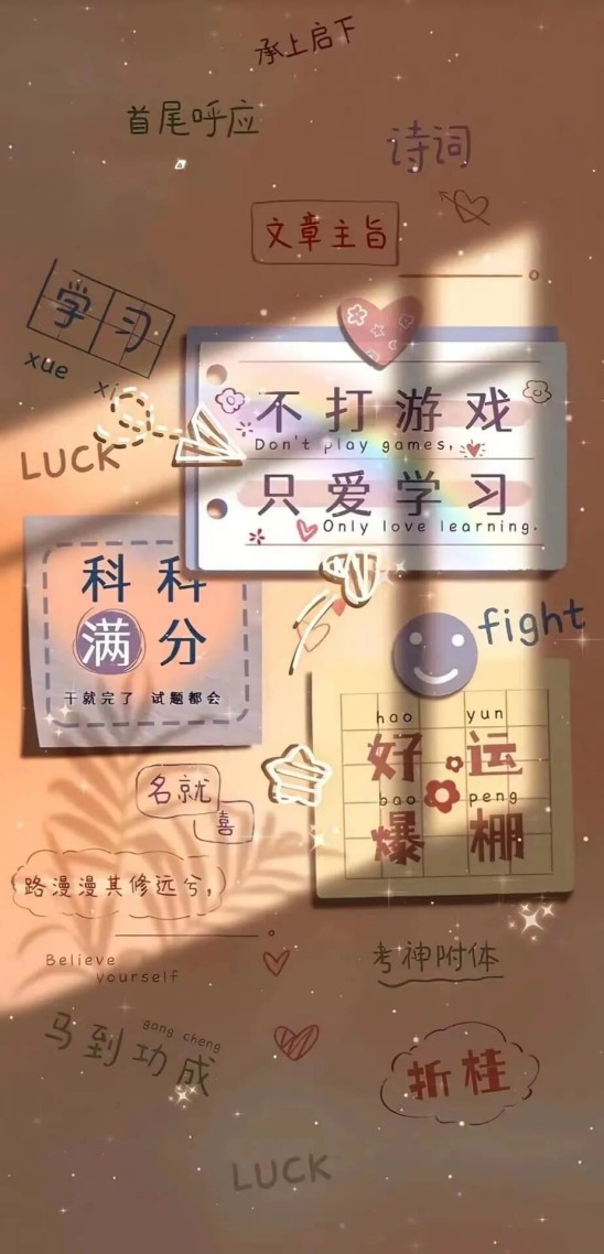 不打游戏 只爱学习