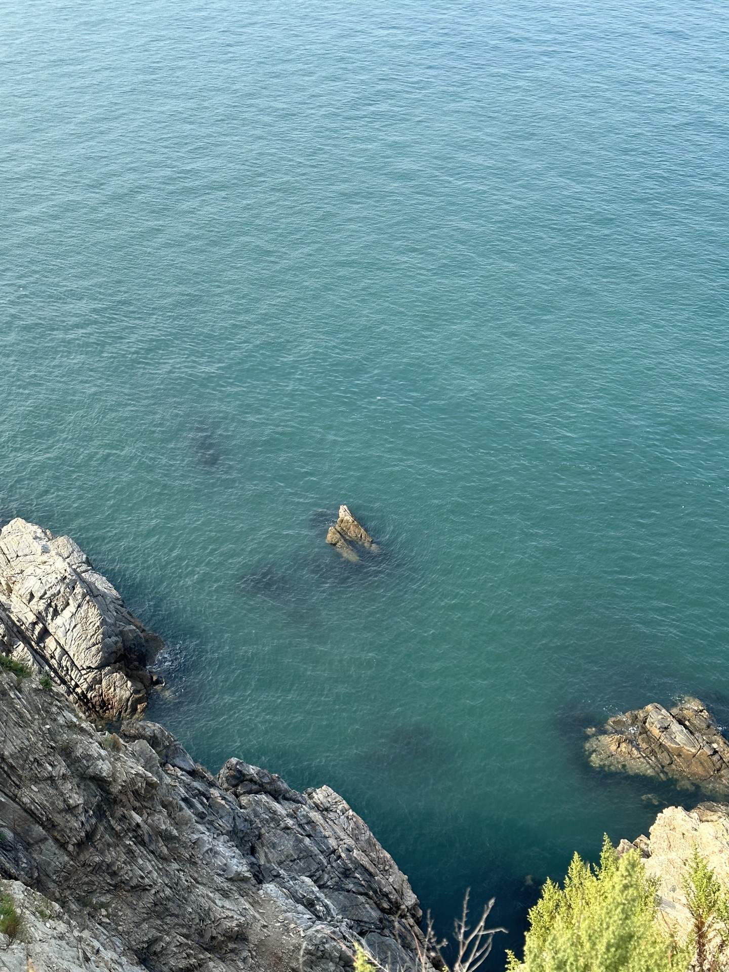 海

