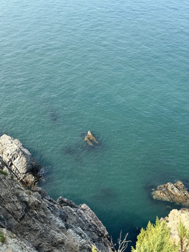 海
