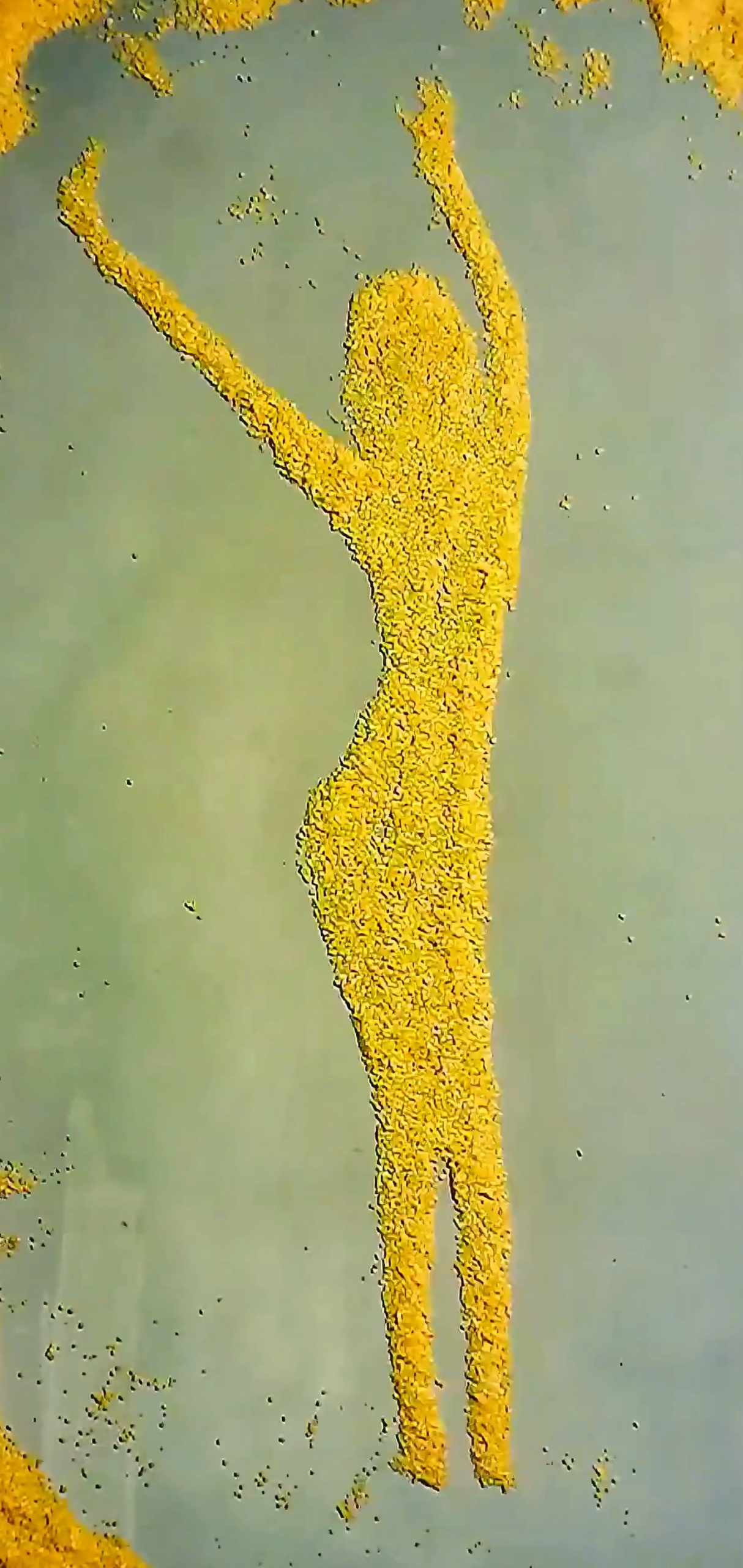 4K 小米舞蹈