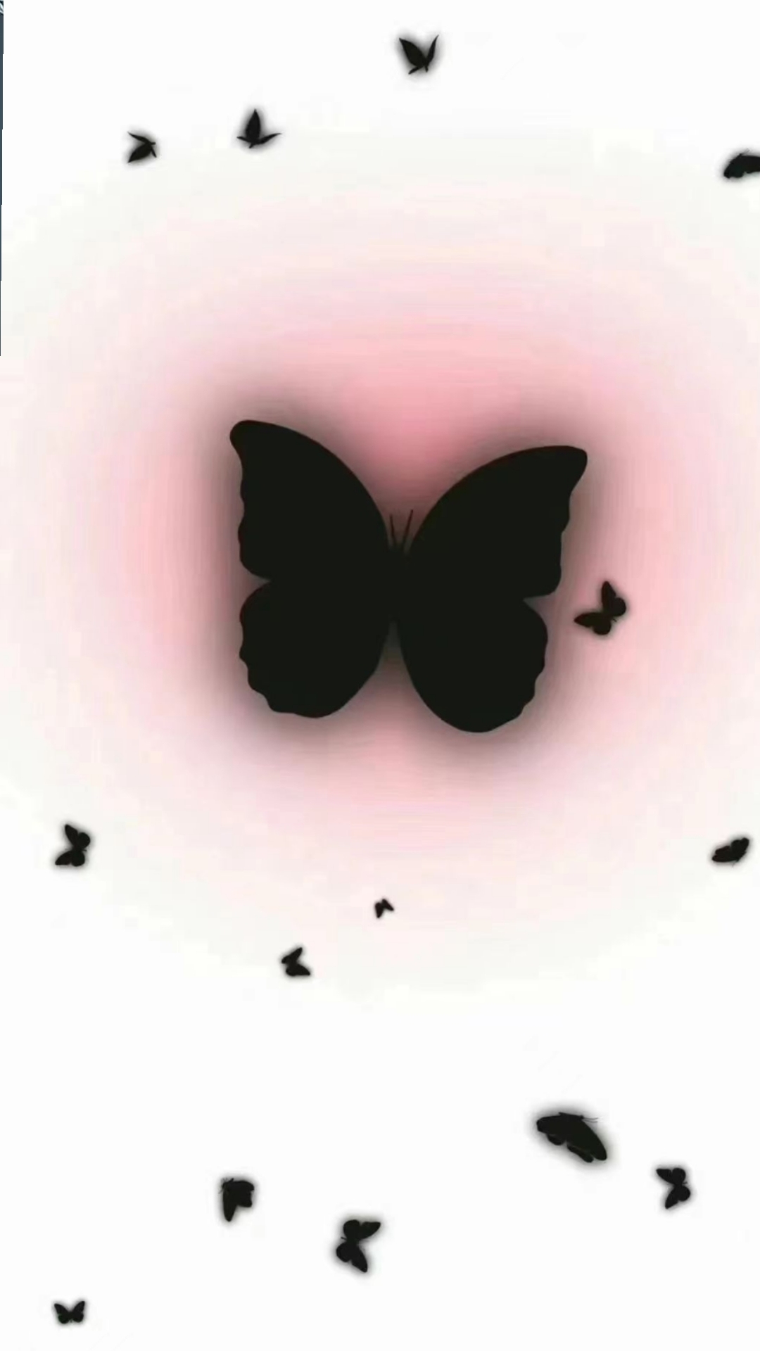 蝴蝶2