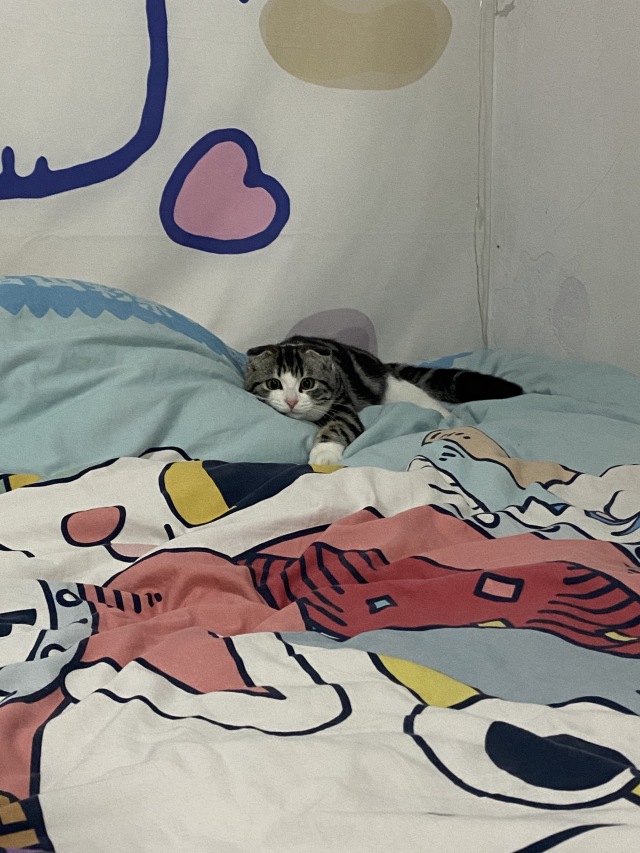 捕猎中小饭团