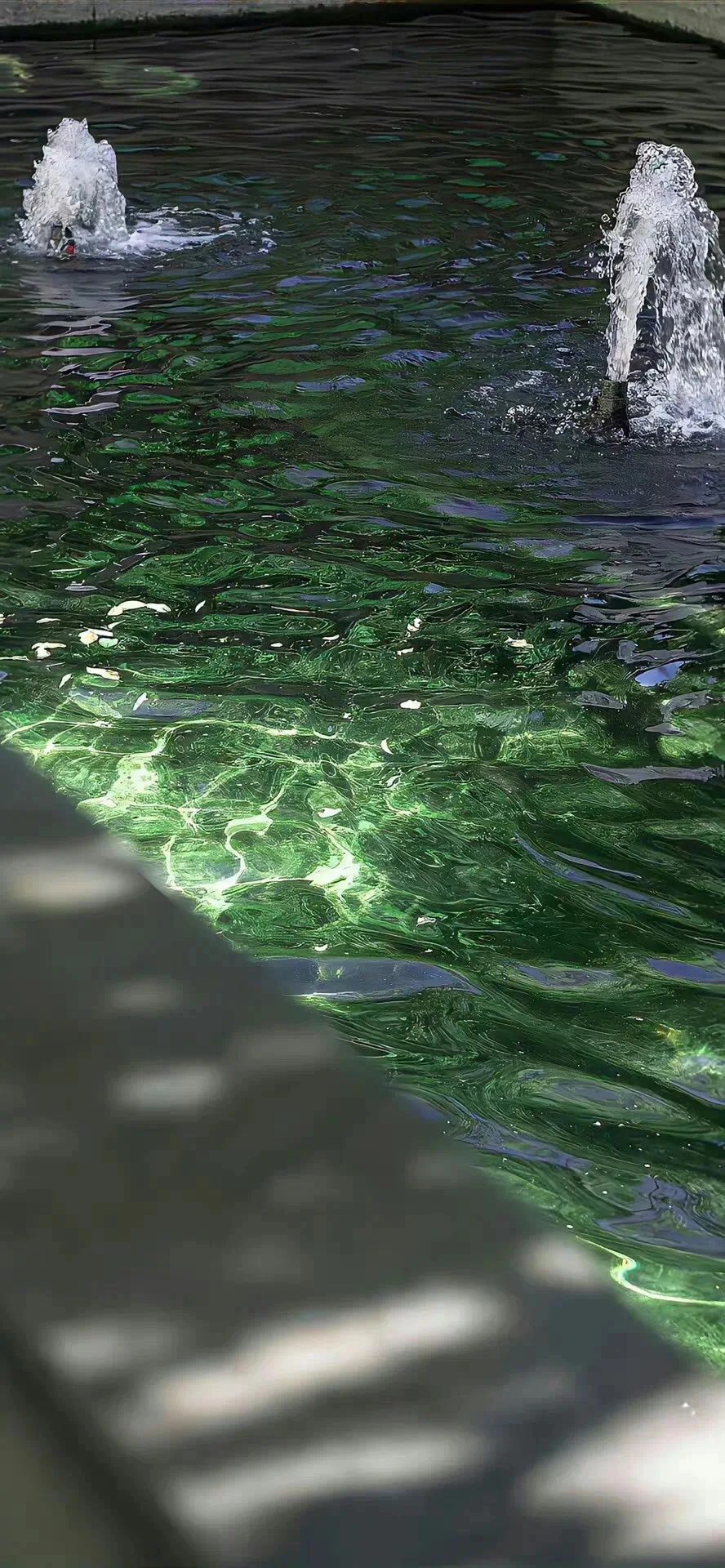 綠色的水
